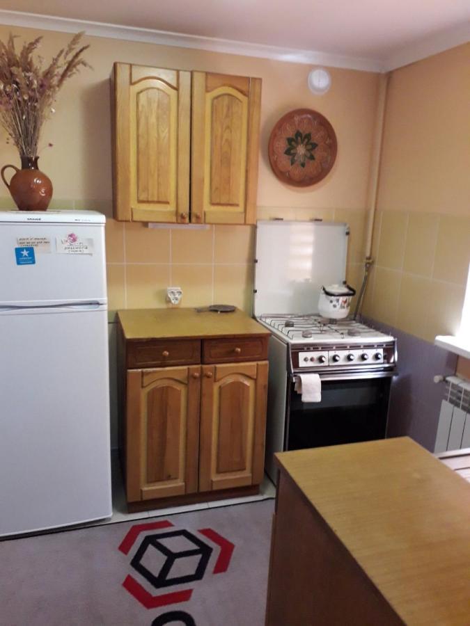 דירות קאמיאנטס - פודיסקי Apartament On Levanevskogo 2 מראה חיצוני תמונה